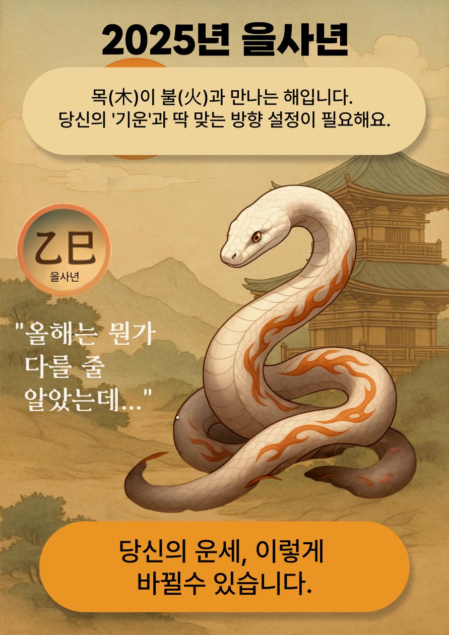 2025 을사년 이미지